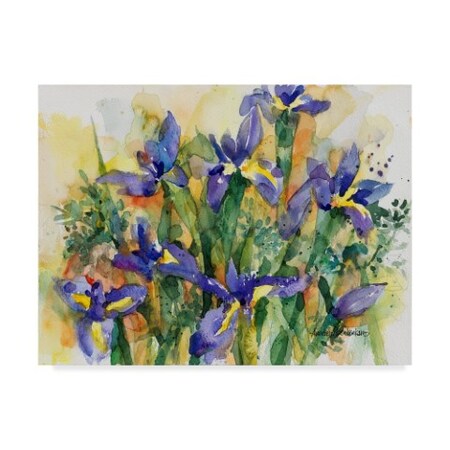 Annelein Beukenkamp 'Indelible Irises' Canvas Art,24x32